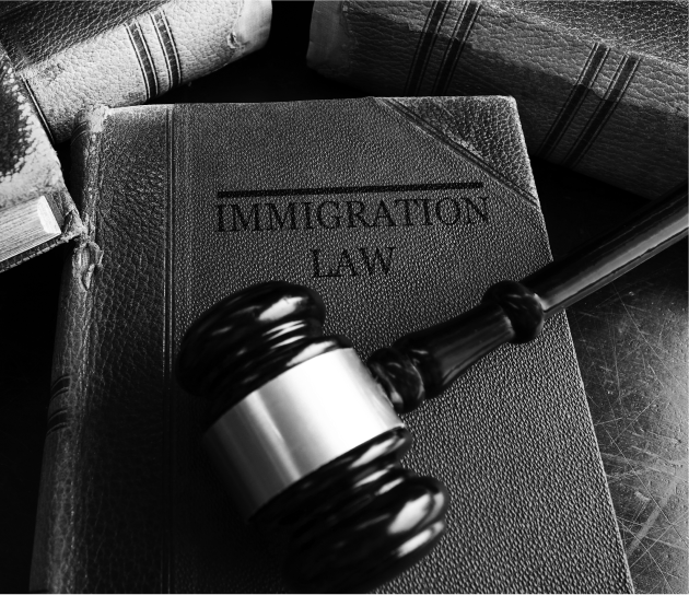 immigration-law